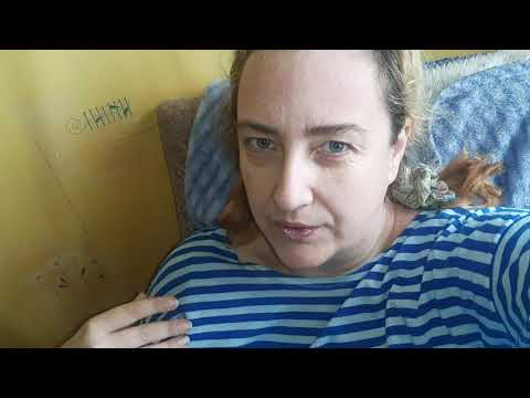 Вино алазанская долина