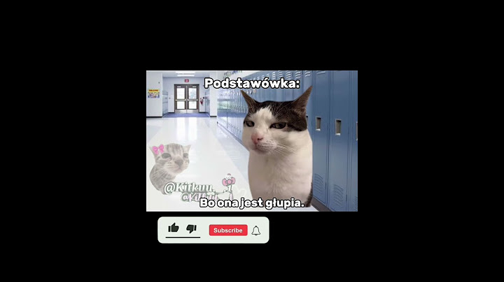 Podstawówka vs Szkoła średnia 😂 #cats #śmieszne#greenscreen #cat #trend#memes#funny#memy #catmeme