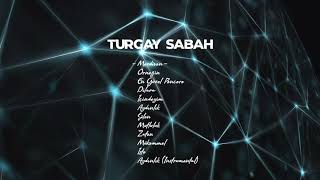 Turgay Sabah - Merdiven  Resimi