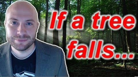 EXPLAINED: If a tree falls in the forest...
