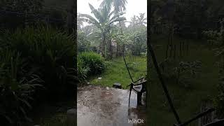 தாஜ்மஹால்