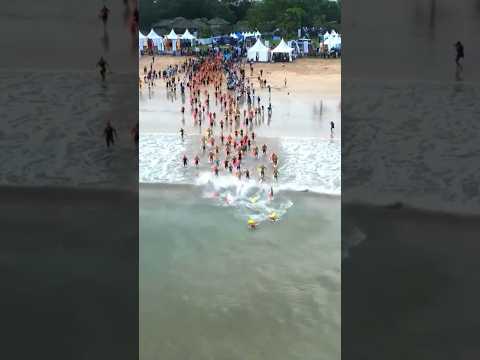 TIMBOI LOMBA BERENANG 5 KM DI LAUT BALI JUARA KE..? 🏊🏻‍♂️🌊😱