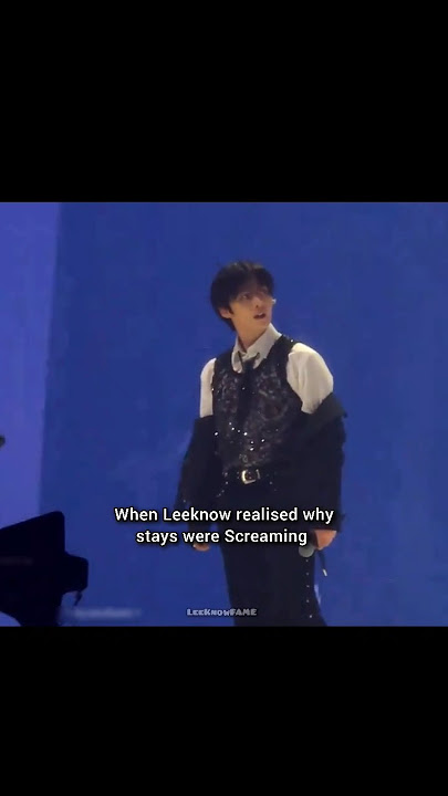 WHEN LEEKNOW REALISED WHY STAYS WERE SCREAMING😂