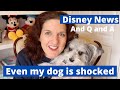 Disney News Q and A Coffee Talk with Jen