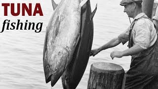 Tuna Fishing & Canning | Vintage Documentary | ca. 1930