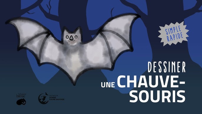 Dessin De Chauve Souris Facile à Faire fity.club