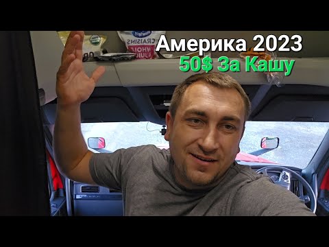 Видео: Кастрюля плова за 50$