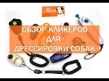 Обзор кнопочных кликеров для дрессировки собак