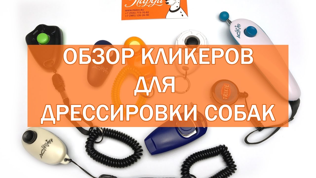 Как работает кликер. Кликер для дрессировки. кликер для дрессировки собак. рисунок кликер для дрессировки. кликер для презентаций.