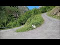 Subida a Casielles "El Pequeño Alpe D'Huez Asturiano"(11-08-2017 )