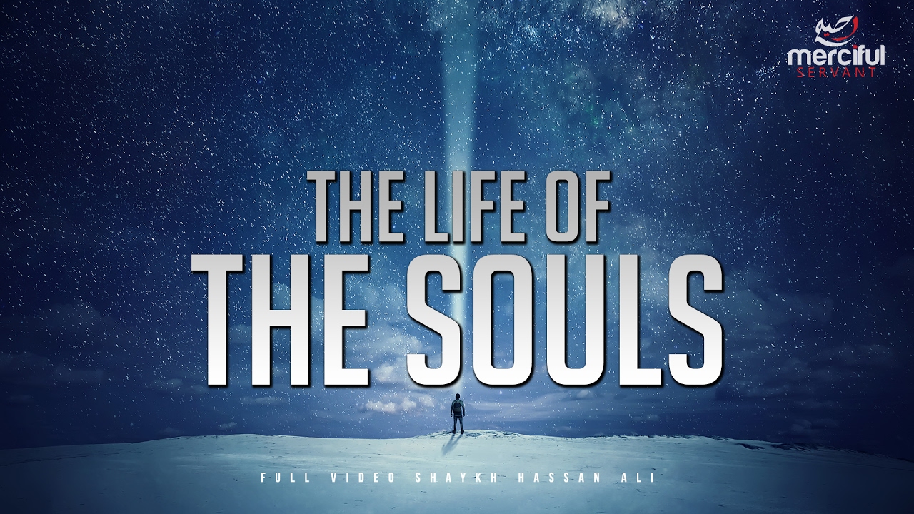 about journey of souls