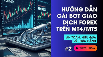 Hướng Dẫn Cài Bot Giao Dịch Forex Trên MT4/MT5 #2: An Toàn, Hiệu Quả, Dễ Thực Hành