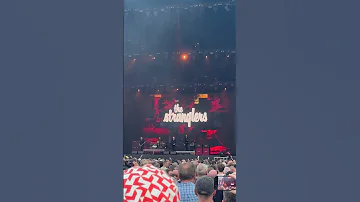 The Stranglers Golden Brown Live In Glasgow 2025 