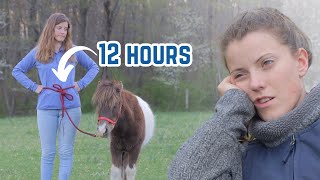 Spending 12 Hours Straight With My Horse