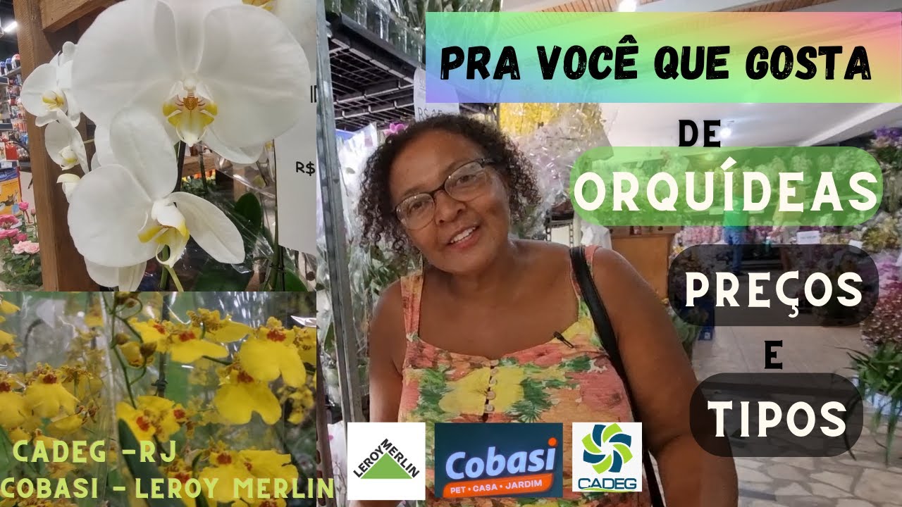 Pra você que gosta de ORQUÍDEA – Tipos, Preços das Lojas Leroy Merlin,  Cobasi e CADEG-RJ - thptnganamst.edu.vn