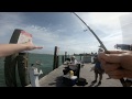 It&#39;s the little fish in life. Fishing trip to Merry Pier at Pass-a-Grille Florida.