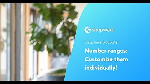 Customize your number ranges individually ! (Shopware 6 Tutorial EN)