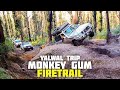 Yalwal 4x4 - Monkey Gum Firetrail