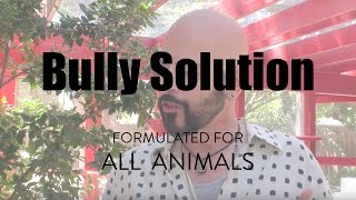 Bully Solution by Jackson Galaxy Solutions for Cats