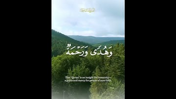 هذا بصائر للناس وهدي ورحمة لقوم يوقنون ❤️ #تلاوة_مؤثرة