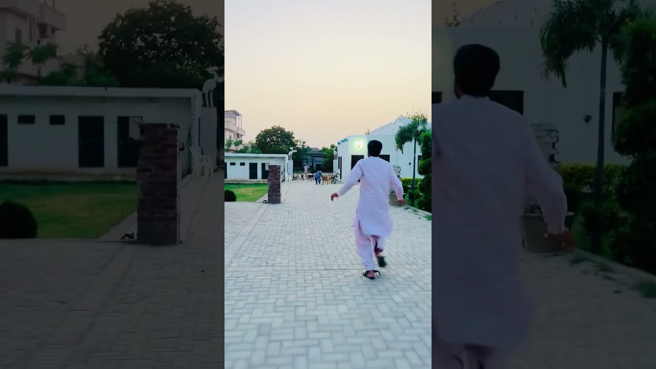 Lion attack to dogs / Dera Sheran wala Sialkot