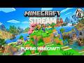 Playing minecraft mindwind server