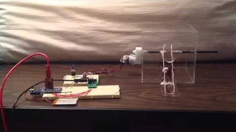 Info 4320: Jack in the Box