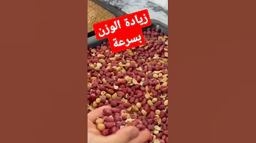 أقوى وصفة لزيادة الوزن بسرعة لرمضان 