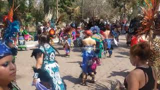 Danzantes Se Presentan Con El Señor De La Cuebita En Elsantuario De Iztapalapa 260524