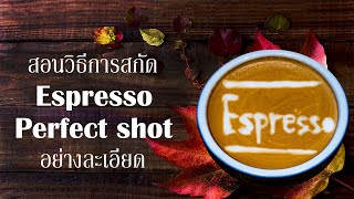 สอนวิธีการสกัด Espresso Perfect shot อย่างละเอียด | (วิธีการหา espresso perfect shot) | EP.9