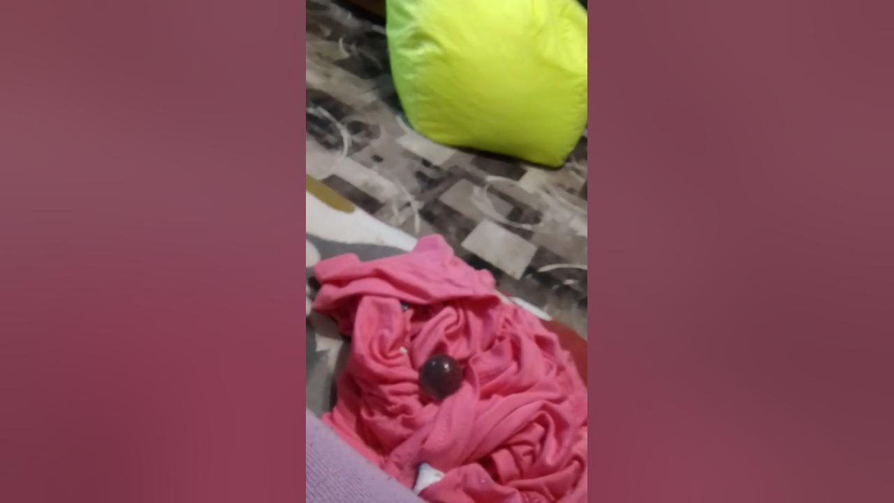 пиписка бобра - YouTube