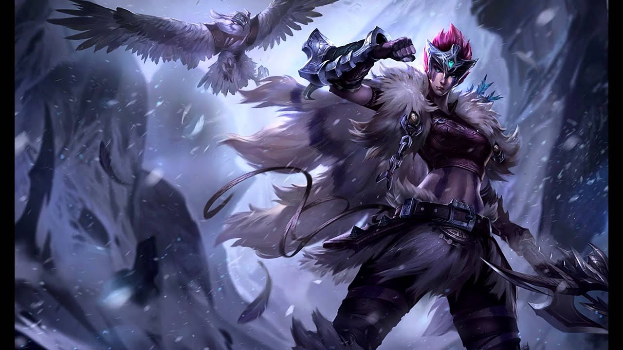 jungle quinn jungle quinn