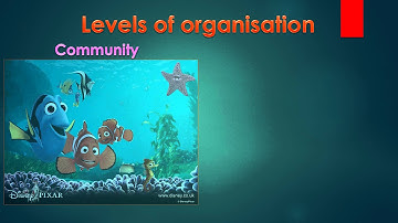 Introduction to ecosystems