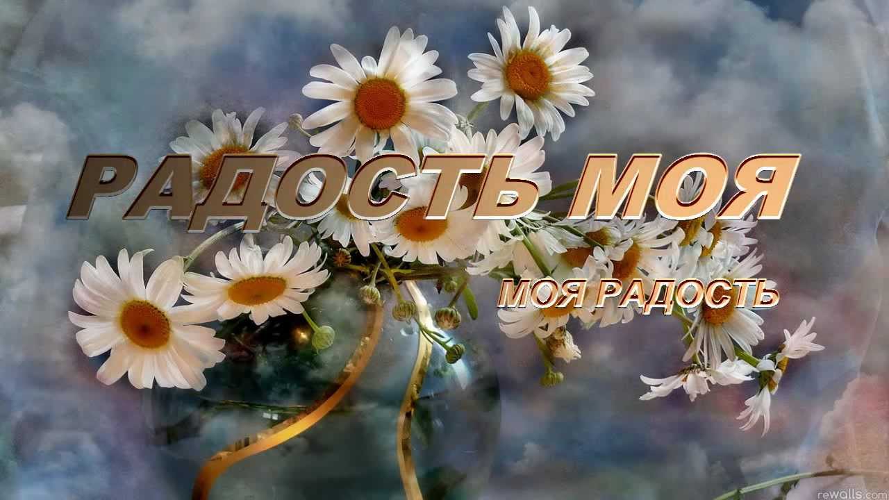 Тв радость моя