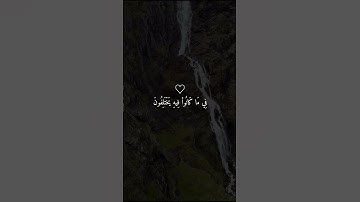 ارح سمعك وقلبك بهذة التلاوة الخاشعة 😴🤍 | حالات واتس اب قران ☁❤️ | ستوريات قران 🌧️💚