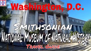 Washington DC - National Museum of Natural History - Helpful Travel Info | DC Travel Guide - Ep#12