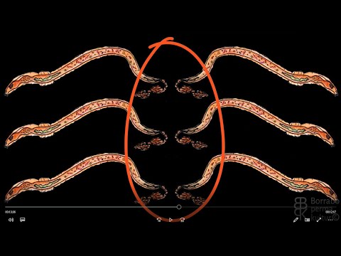 Video: Hur Man Ordnar Komposthögan Bekvämare Och Påskyndar Beredningen Av Organiskt Gödselmedel