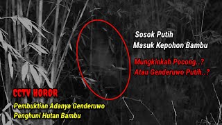 Pembuktian Genderuwo Penghuni Pohon Bambu - Eksperimen CCTV Di Tempat Angker