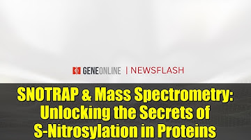 SNOTRAP & Mass Spectrometry: Unlocking the Secrets of S-Nitrosylation in Proteins