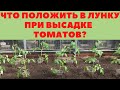 Положите Это в ЛУНКУ при посадке ТОМАТОВ. И ПОДКОРМКИ не нужны БУДУТ