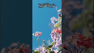 Surah Al Ghashiya 88 part 3 [The Enveloper] Verse 20-26 Urdu Translation #quran #quranictranslation