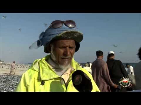 موسم صيد السردين في محافظة ظفار