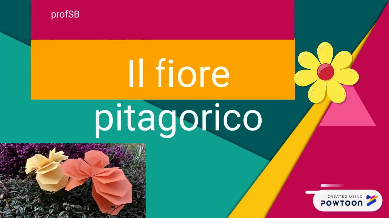 Il fiore pitagorico