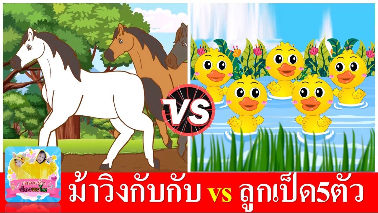 ม้าวิ่งกับกับ vs ลูกเป็ด5ตัว