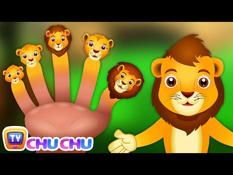 Finger Family Lion | ChuChu TV Animal Finger Family Songs & Nursery Rhymes For Children