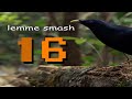 Post Thanksgiving Throwdown (Smash and Chill 16)
