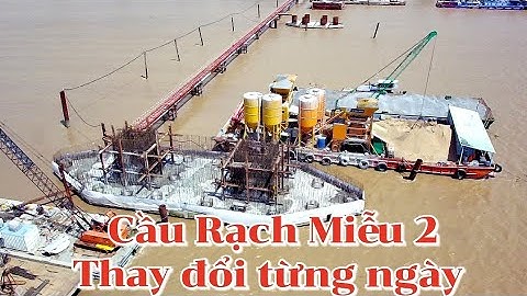 Cầu Rạch Miễu 2 trụ chính dây văng