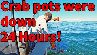 24 Hours Crabbing Puget Sound 2021 | Stabicraft on the Sound