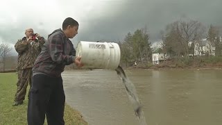 DEC stocking local waterways with trout as fishing season gets underway