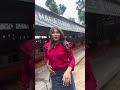 Butuh mesin pencacah rumput yo readii